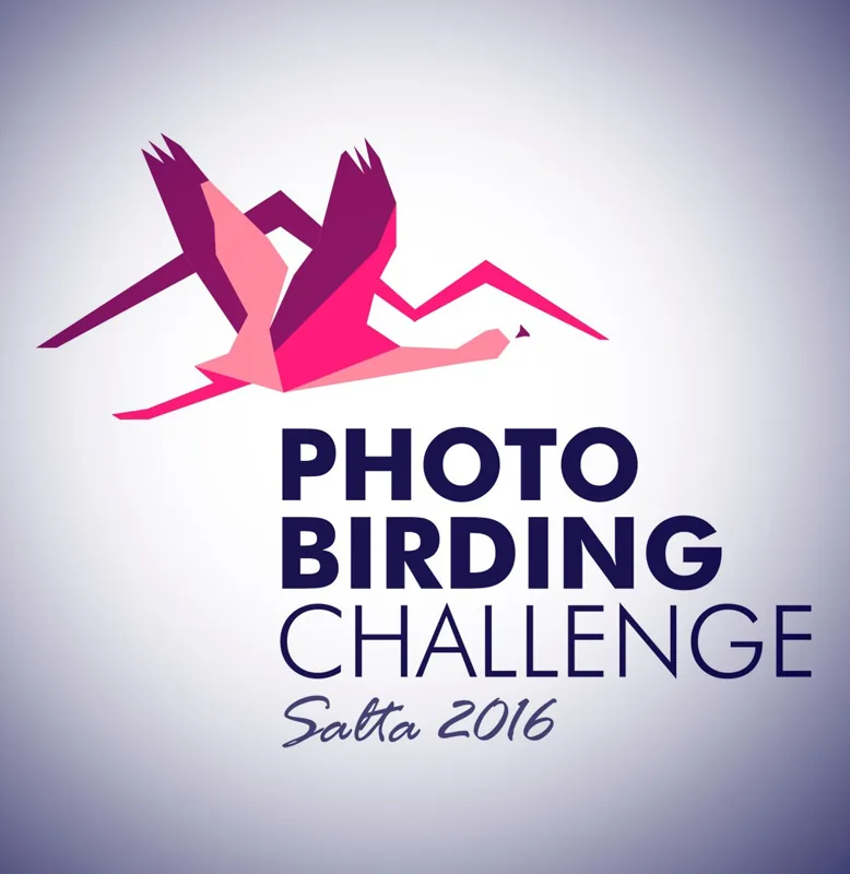 Marca Photo Birding