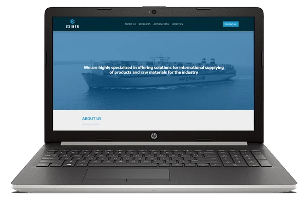 Sitio web de Exiner